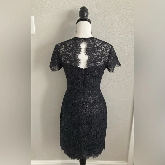 Banana Republic | Lace Cocktail Dress - Picture 5 of 7
